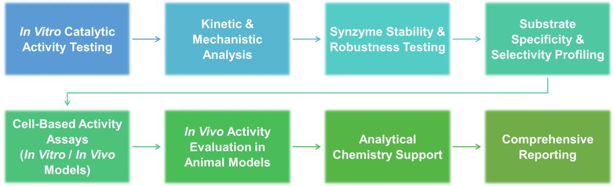 Service workflow of synzyme activity evaluation