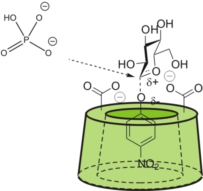 One example of a synzyme is artificial phosphorylase