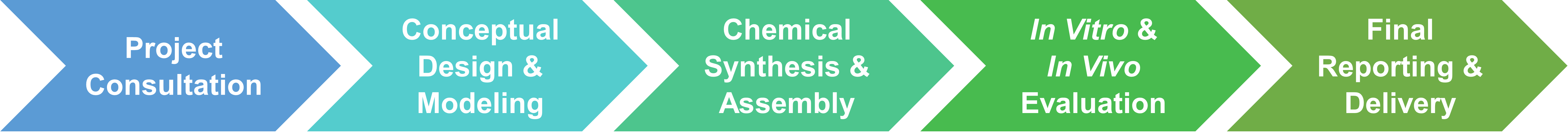 Workflow of synzyme development services