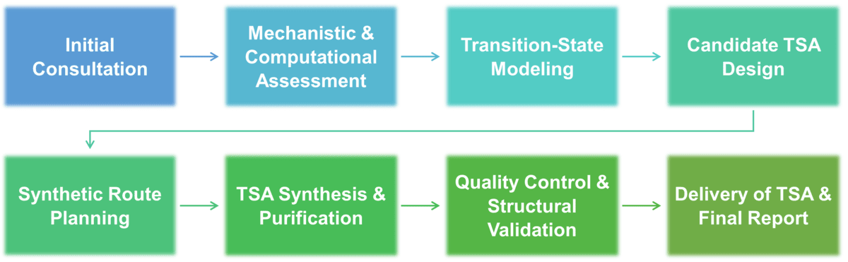 Service workflow of the design of transition-state analogs