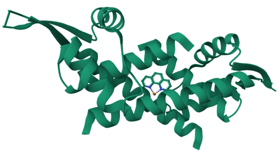Crystal structure of LmrR: an artificial heme enzyme for cyclopropanation reactions