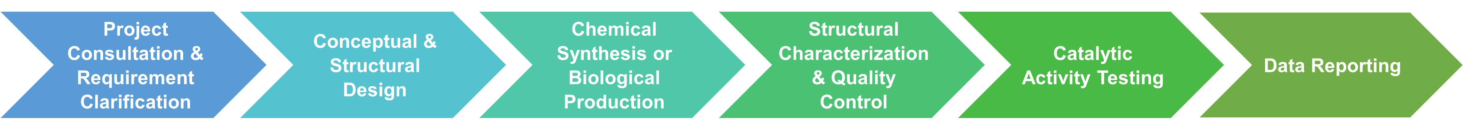Workflow of synthetic enzymes services