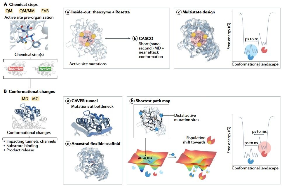 Computational approaches to enzyme design