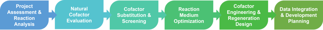 Service workflow of selection and modification of biocatalysis cofactors