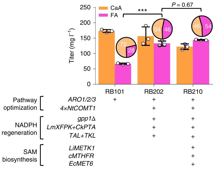 Engineering Sam biosynthesis and recycling for Fa production