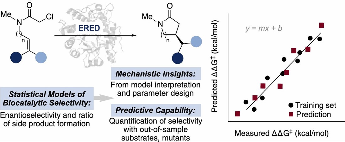 Statistical models of biocatalytic selectivity with mechanistic insights and predictive capability
