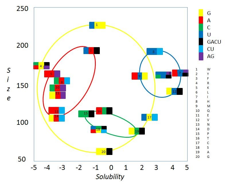 Codon bias is the non-random preference for certain synonymous codons over others within a genome