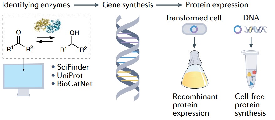 Biocatalyst gene discovery and expression