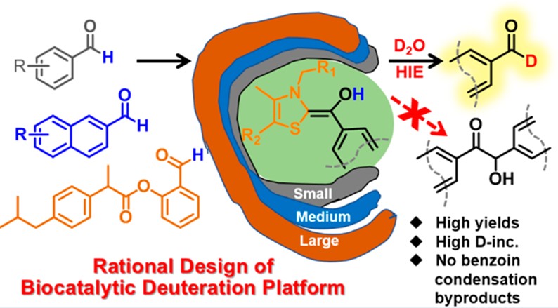 Graphic abstract for rational design of biocatalytic deuteration platform