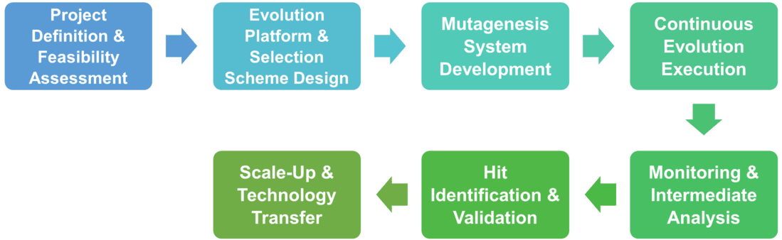 Workflow for biocatalysts continuous directed evolution service