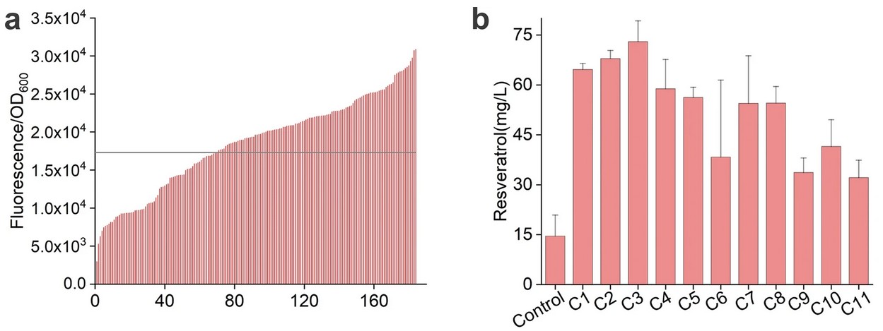 Ultrahigh-throughput screening-assisted in vivo directed evolution for enzyme engineering