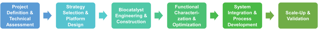 Workflow of biocatalyst engineering service