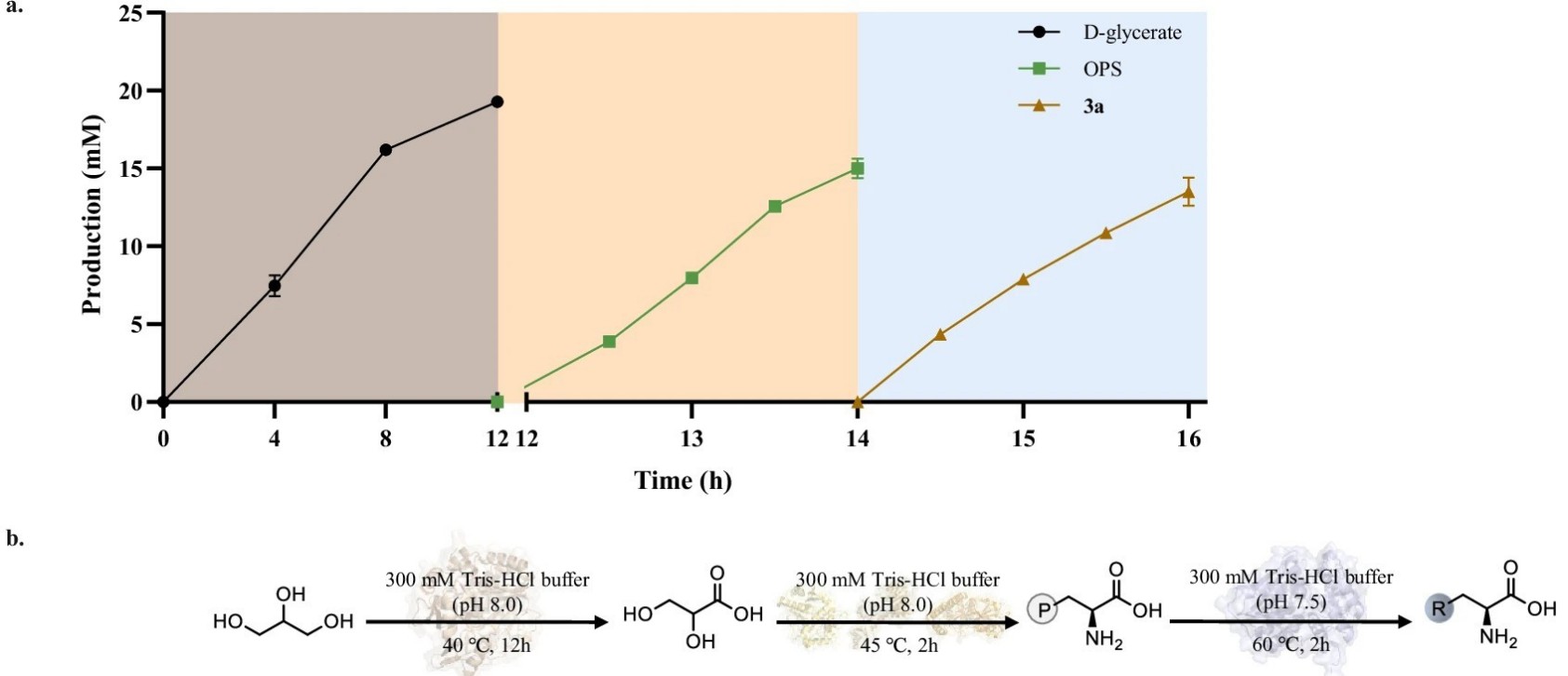 Modular multi-enzyme cascades enable green and sustainable synthesis of non-canonical amino acids from glycerol