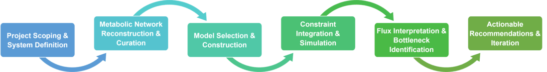 Workflow of metabolic flux analysis for biocatalytic systems service