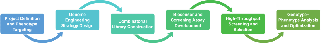 Service workflow of genome engineering for biocatalytic pathway optimization