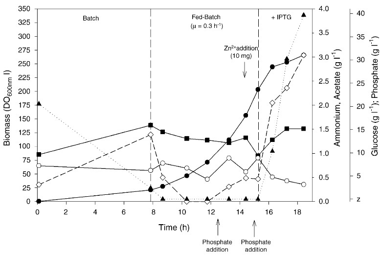 T5プロモーターを用いたEscherichia coliによる組換えrhamnulose 1-phosphate aldolase生産に対する誘導および運転モードの影響
