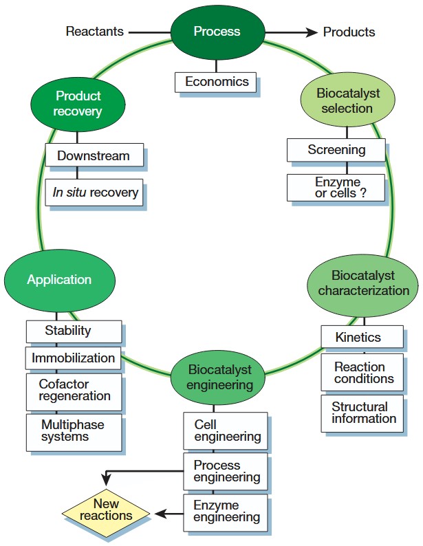 Industrial biocatalysis today and tomorrow