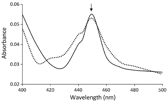 Escherichia coliにおけるヒトシトクロムP450 2D6およびCYP3A4の異種発現と機能特性評価