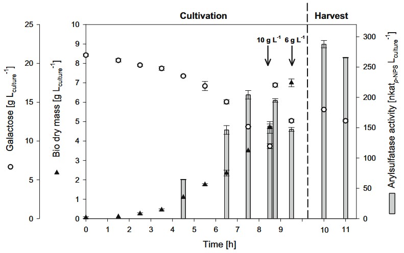 Engineering heterologous enzyme secretion in Yarrowia lipolytica