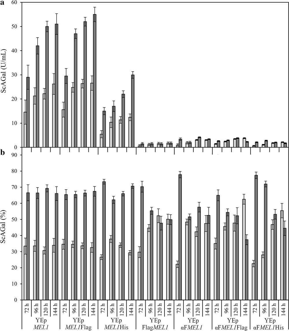Saccharomyces cerevisiae α-ガラクトシダーゼ生産の最適化とラフィノースファミリー・オリゴ糖分解への応用