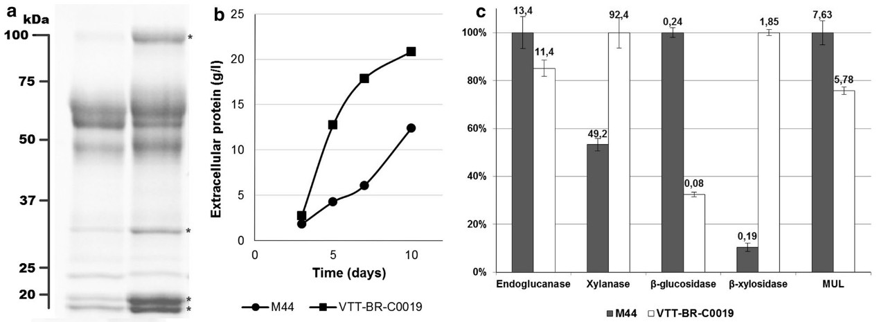 Development of a low-cost cellulase production process using Trichoderma reesei for Brazilian biorefineries