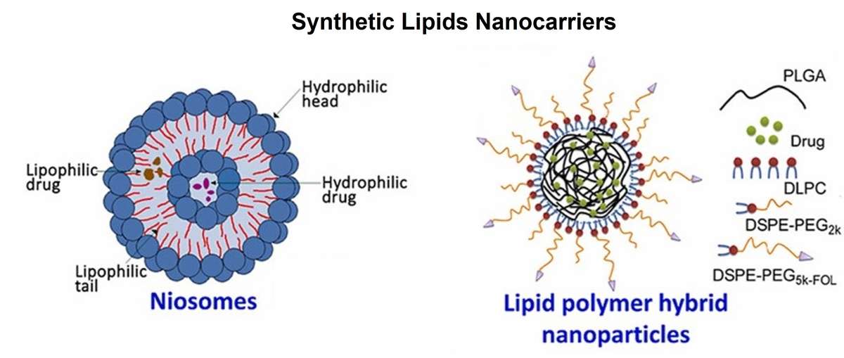 合成脂質ナノキャリア：ニオソームと脂質-ポリマー混合ナノ粒子。