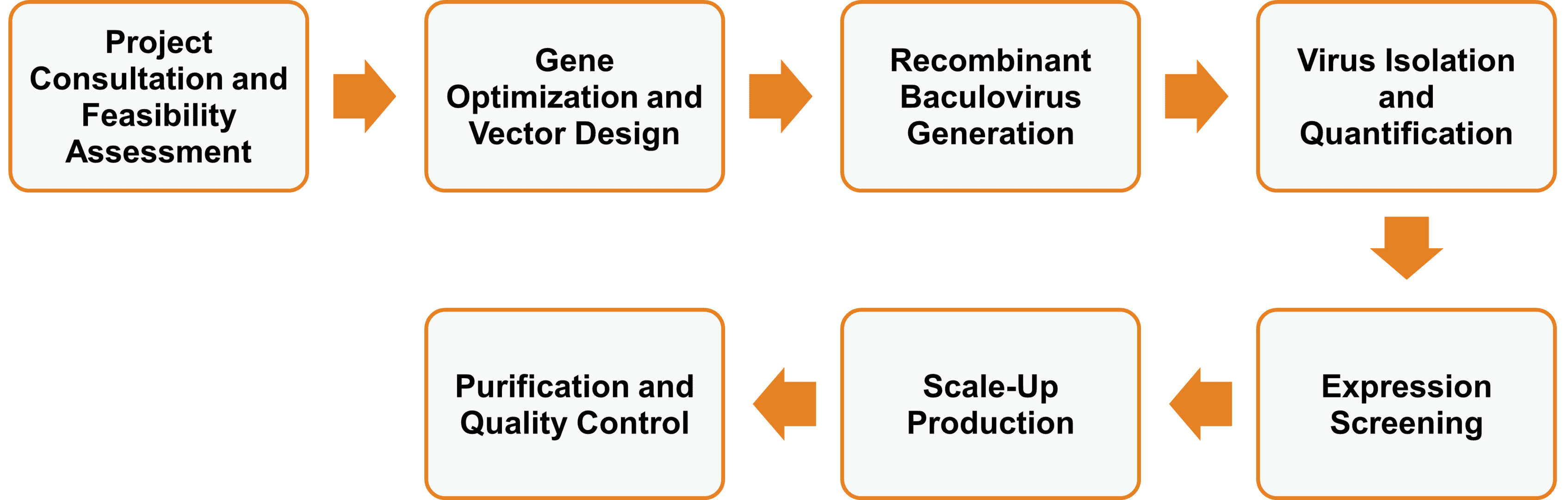 Workflow of enzyme expression service using baculovirus–insect cell system