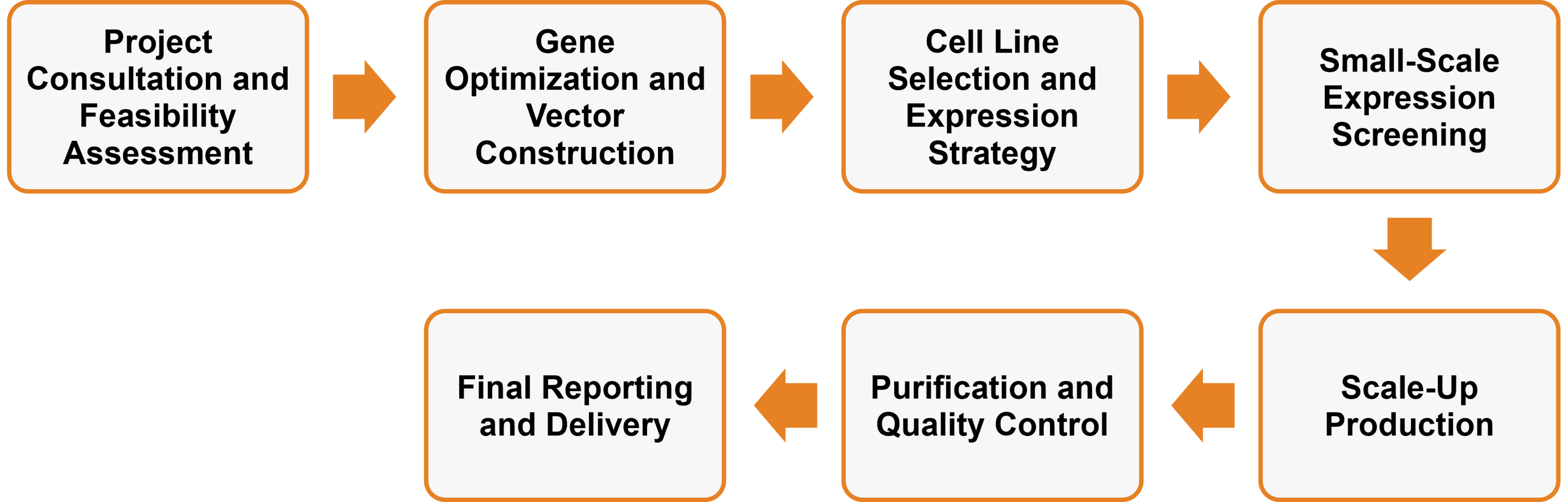 Workflow of mammalian cell-based enzyme expression services