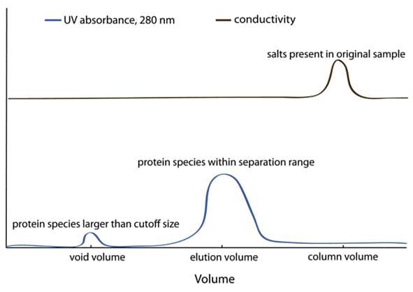  Key parameters in gel filtration (size-exclusion chromatography) of proteins