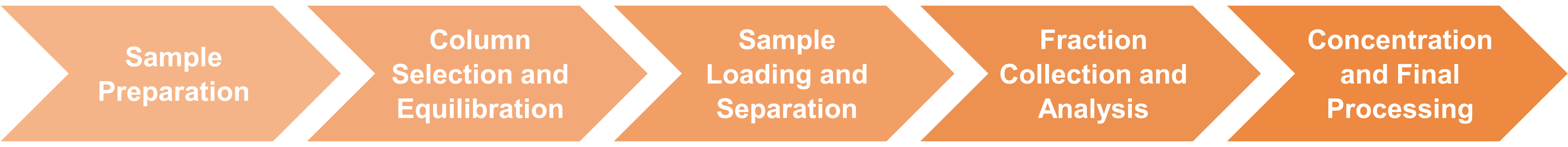Size-exclusion chromatography workflow for enzyme purification