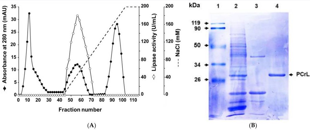 Purification, biochemical and kinetic characterization of a novel alkaline sn-1,3-regioselective triacylglycerol lipase