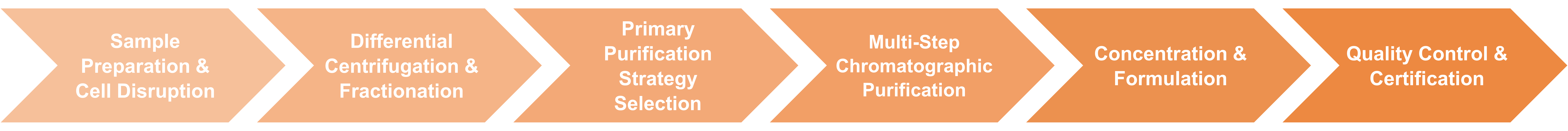 酵素精製ワークフロー