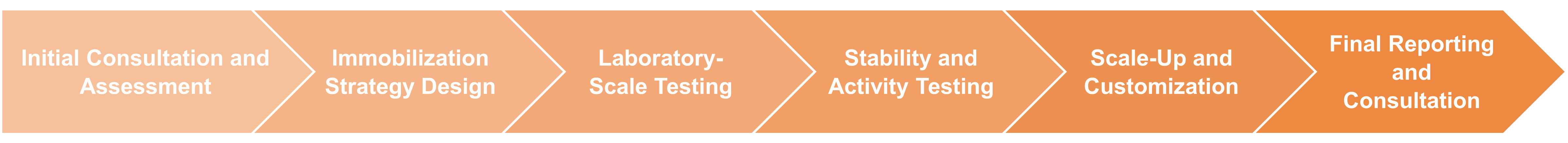 Workflow of enzyme immobilization service