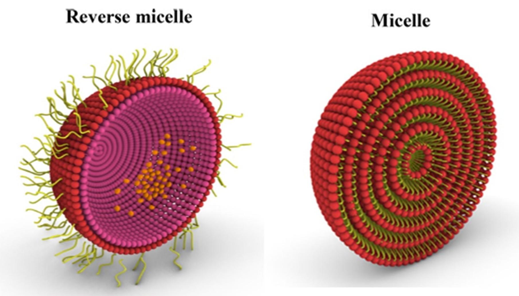 Nonlinear optical response of Fuchsine dye in reverse micelles