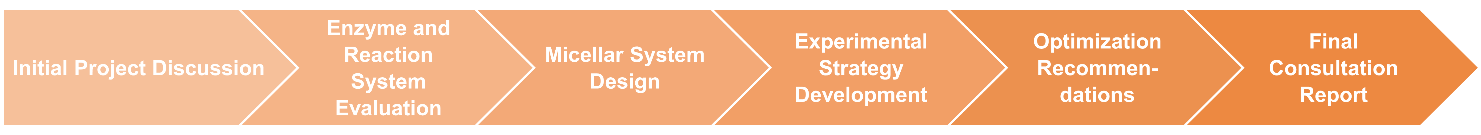 Technical consultation workflow diagram for micelle-based enzyme stabilization