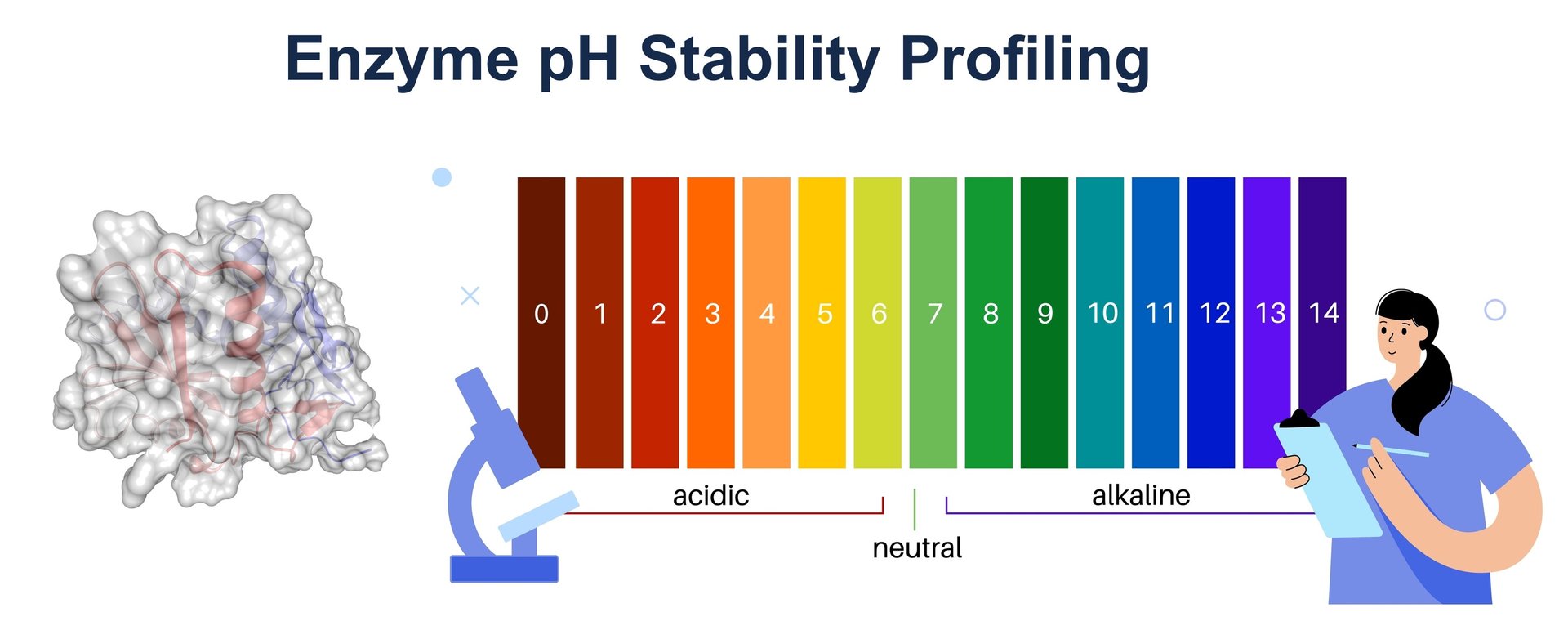 pH stability profiling of enzymes