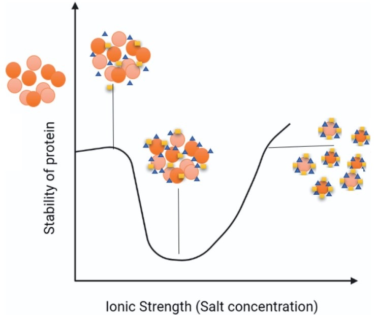 Ionic strength effects on enzyme stability