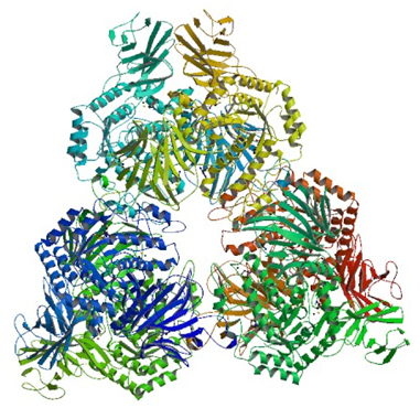 Alpha-D-Xyloside Xylohydrolaseの酵素活性測定