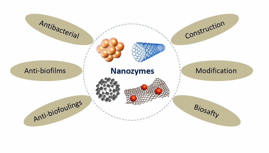 ナノザイムの抗菌応用における使用。 - Creative Enzymes