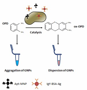ナノザイムによるリステリア・モノサイトゲネスの検出。 - Creative Enzymes