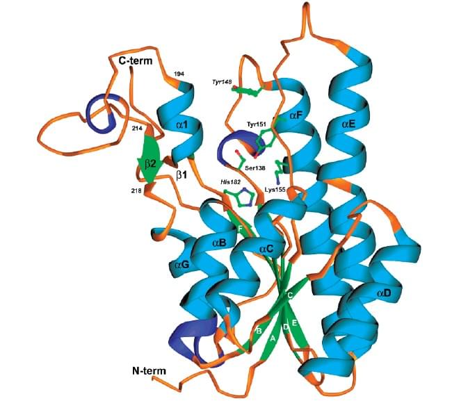 Enzyme Activity Measurement for 17 Beta Hydroxysteroid Dehydrogenase Using Spectrophotometric Assays