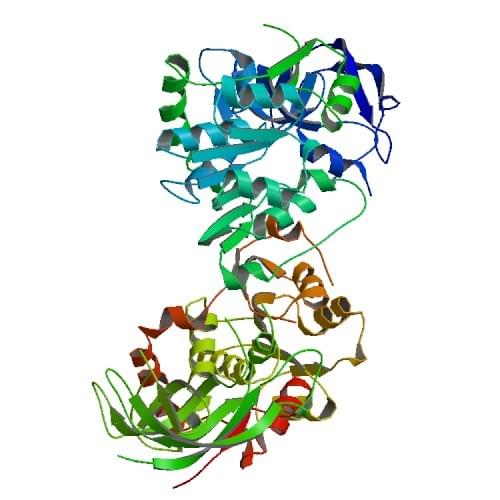 アリルアルコール脱水素酵素の分光光度アッセイを用いた酵素活性測定