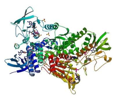 ヒトジヒドロリポイル脱水素酵素がNAD+と複合体を形成した結晶構造。