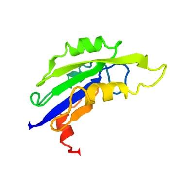 図2: マウス神経節糖脂質ガラクトシルトランスフェラーゼの結晶構造。