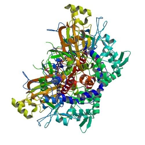 Streptomyces sp. X-119-6からのL-グルタミン酸オキシダーゼの結晶構造。