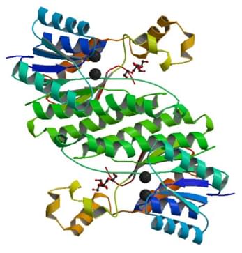 テストステロン17β-脱水素酵素（NAD<sup>+</sup>）の分光光度法による酵素活性測定