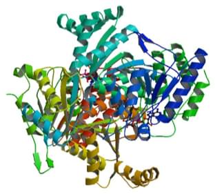 イソクエン酸脱水素酵素（NAD+）の分光光度法による酵素活性測定