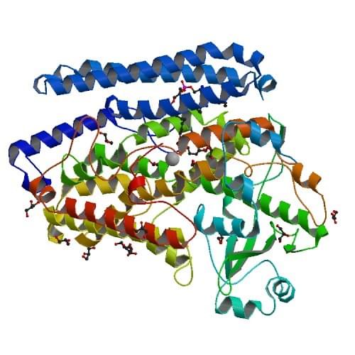 Pseudomonas aeruginosaからのリン脂質-リポキシゲナーゼ複合体の結晶構造。
