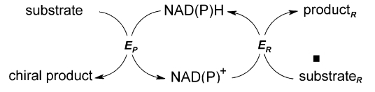 光学活性化合物の補因子結合酵素合成のためのNAD(P)H再生の一般的なスキーム