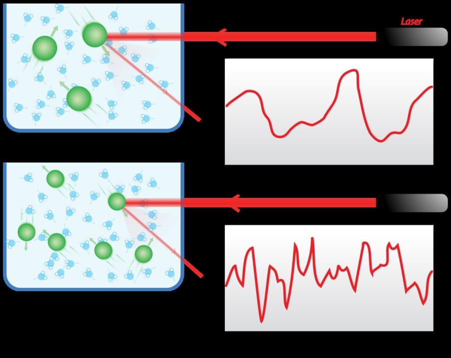 二つのサンプルの仮想的な動的光散乱：上に大きな粒子、下に小さな粒子。